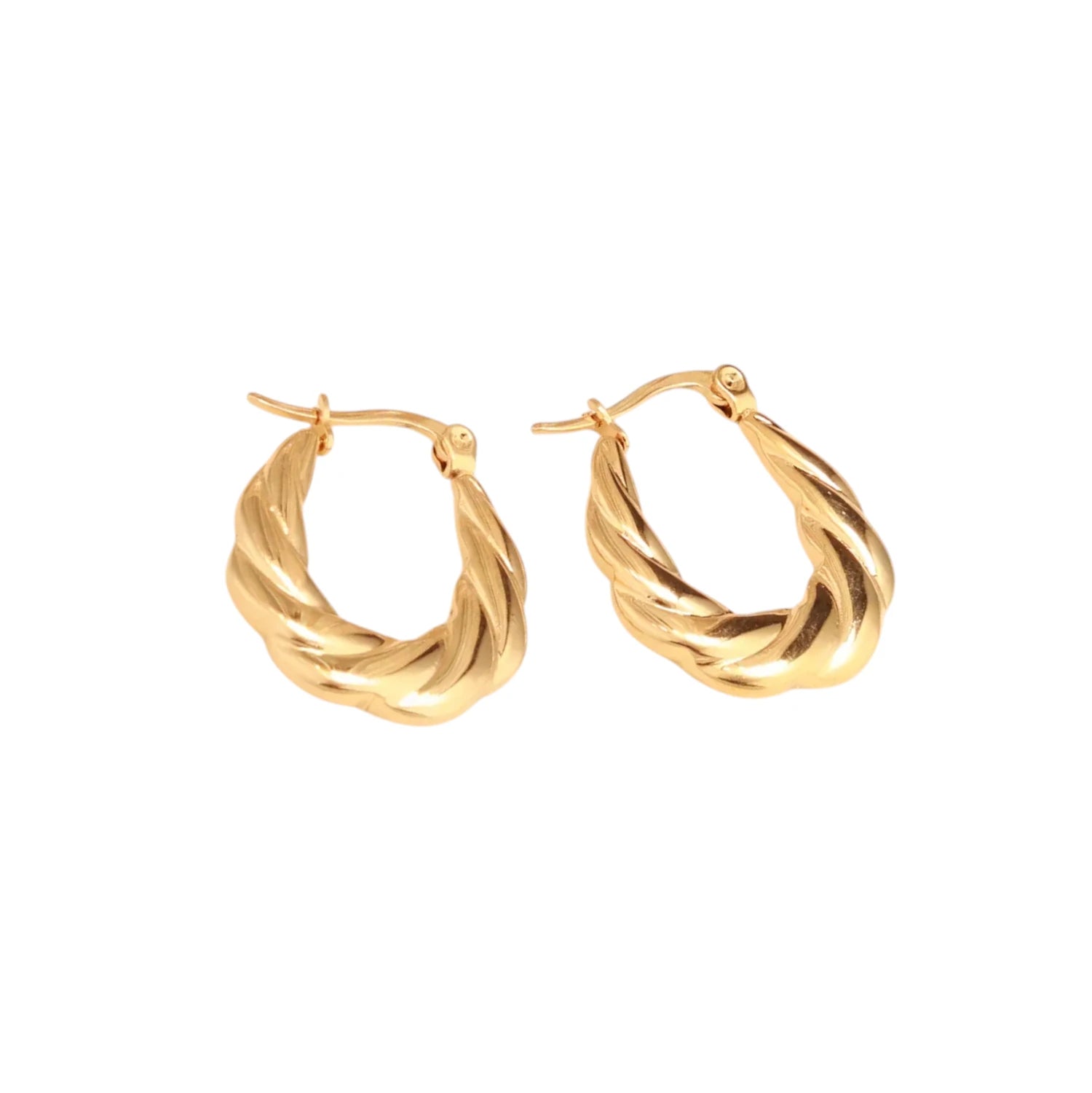 Twisted Oval Hoop Earrings