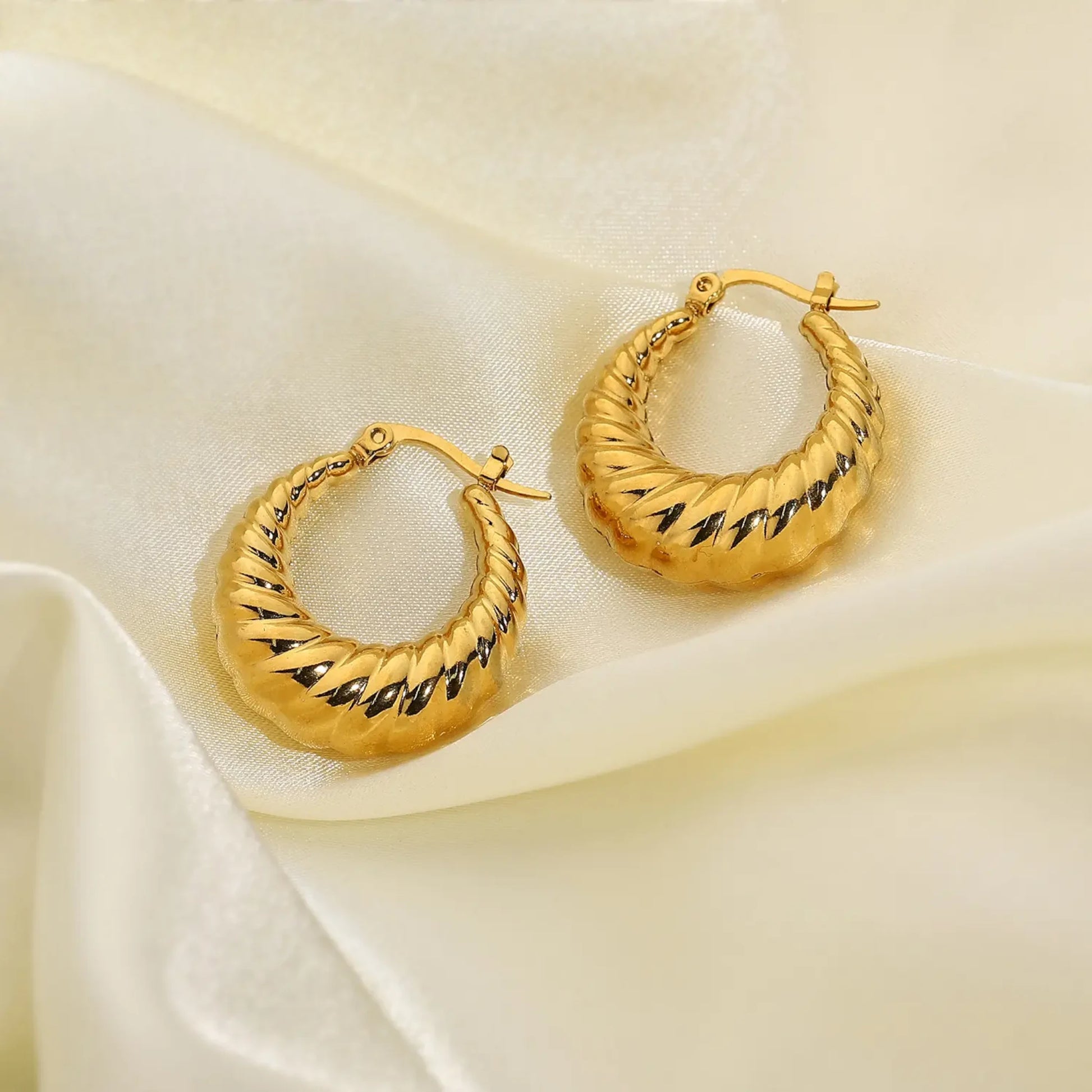 Twisted Round Hoop Earrings