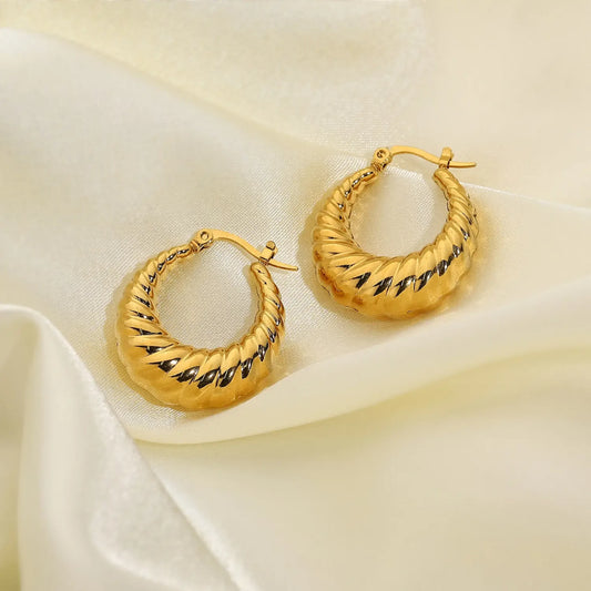 Twisted Round Hoop Earrings