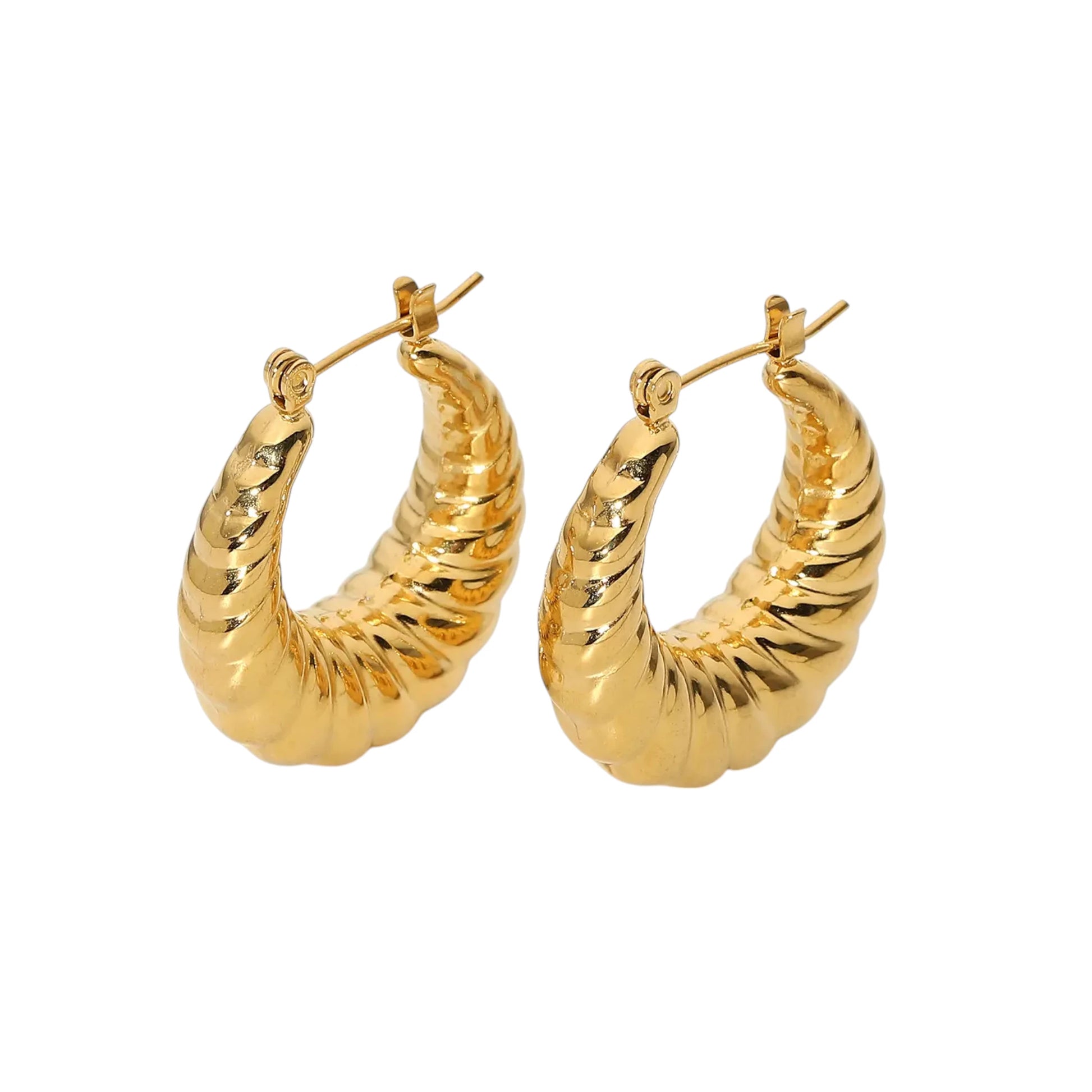 Twisted Round Hoop Earrings