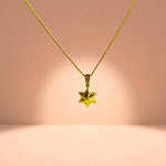 Golden Floral Star Necklace