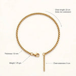 Gold box chain bracelet with size callouts on warm off-white background