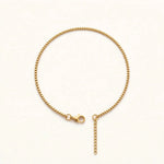 Gold box chain bracelet with lobster clasp arranged in a circle on warm white background
