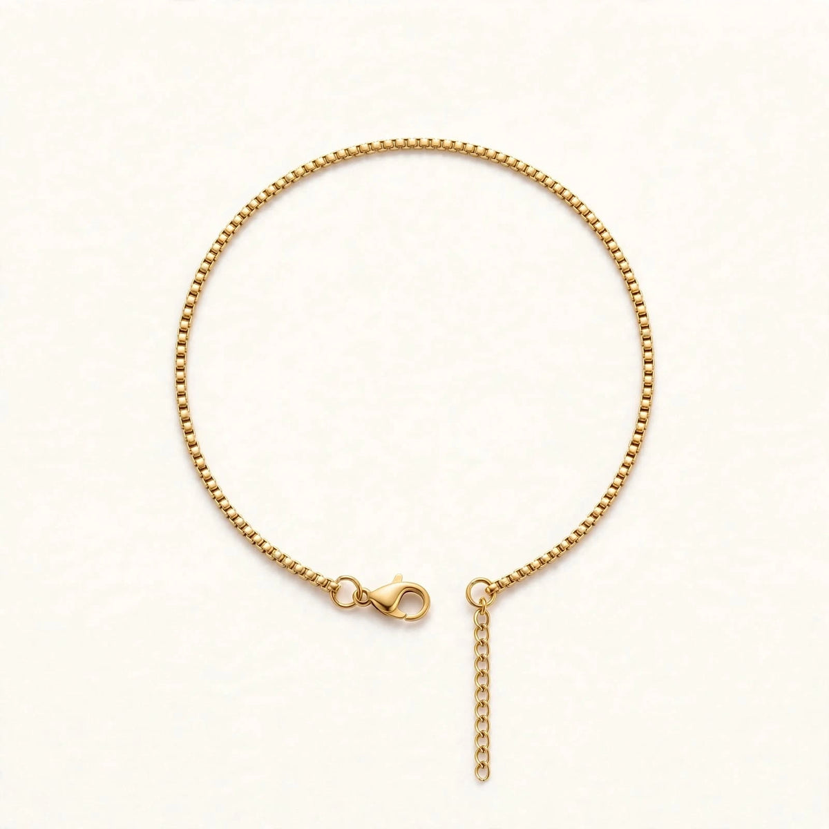 Gold box chain bracelet with lobster clasp arranged in a circle on warm white background