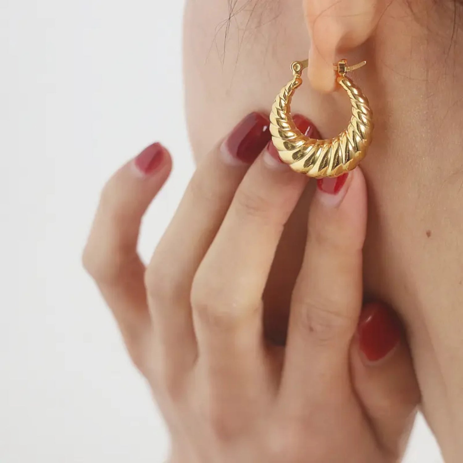 Twisted Round Hoop Earrings